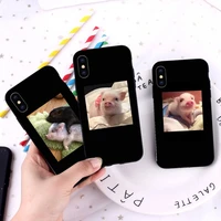 cute little pink pet pig phone case for iphone 12 11 13 7 8 6 s plus x xs xr pro max mini shell