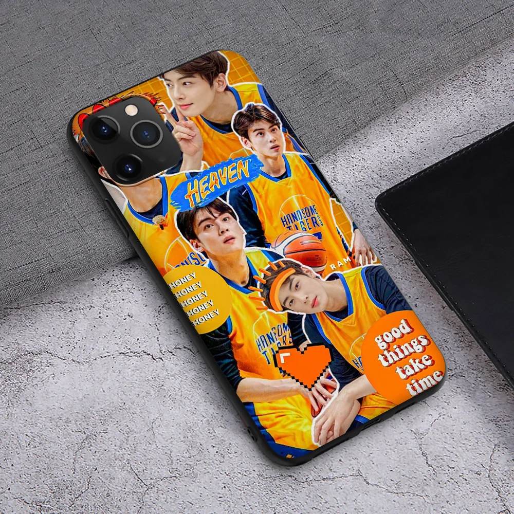 SK48 cha EunWoo Lee Dong min K POP Phone Soft Case for iPhone 12 11 X XS XR Pro Max 6 6s Plus SE