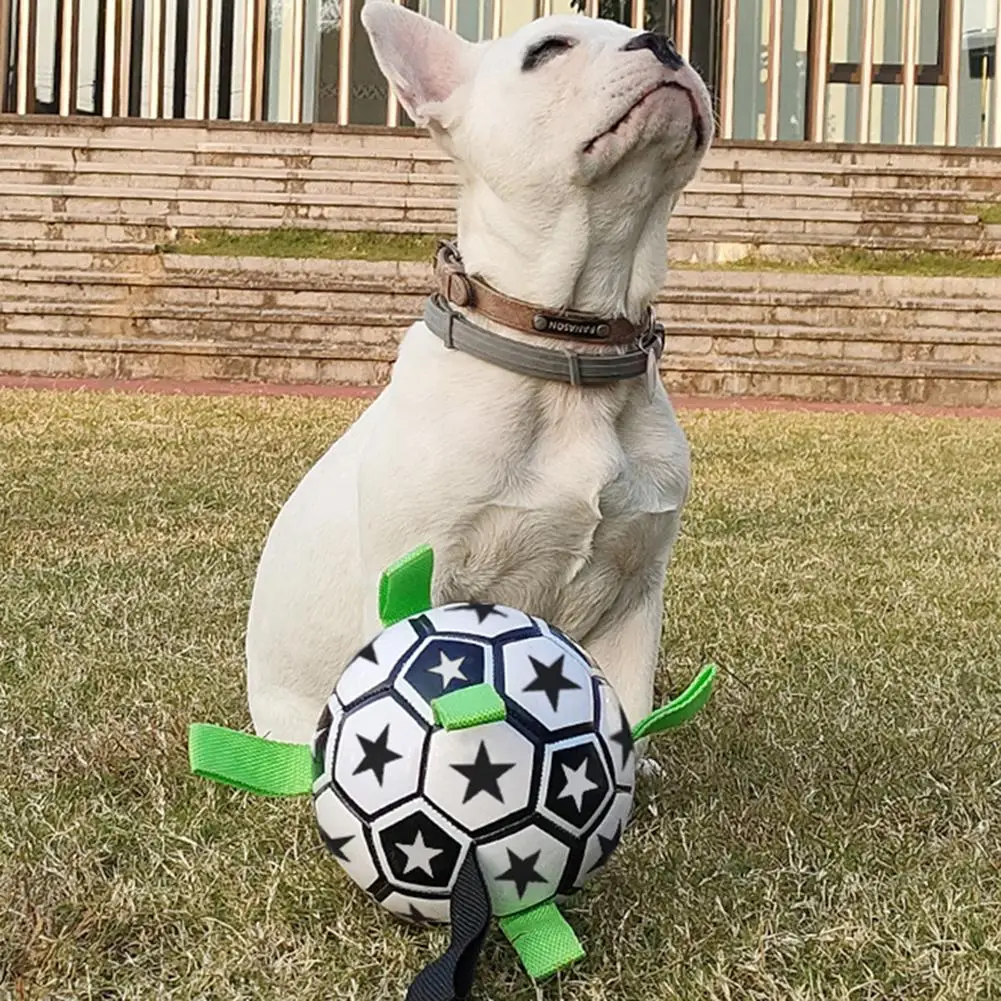 

Pet Dog Football Toys Outdoor Multifunctional Interactive Training Toys Chew Toy With Rope Pet Supplies