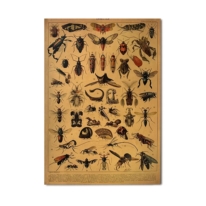 Винтажный постер DIYOUNG  растения на крафтовой бумаге