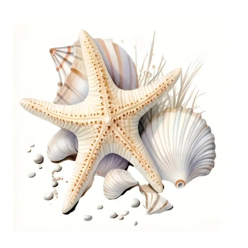 

Наклейка на крышку унитаза "Ракушка", ПВХ