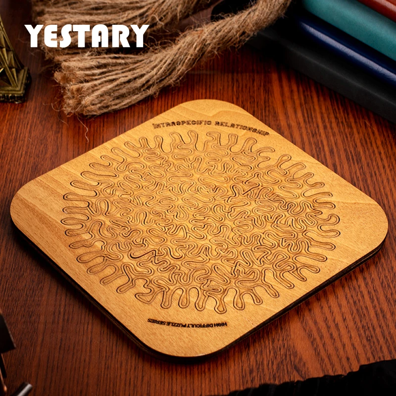 

YESTARY 3D Wooden Puzzle Jigsaw Puzzle Toy Brain Tease Ten Level Difficulty Tangram Board Games Puzzle Toys For Kids Adults Gift