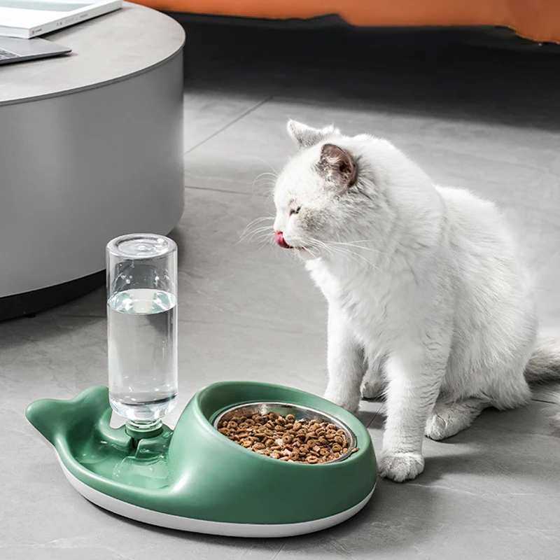 

Non-slip Pet Cat Dog Bowl Fountain 15 Degrees Raised Stainless Steel Cat Bowls Whale Tail Bowl Cat Puppy Feeder Pet Suppliers