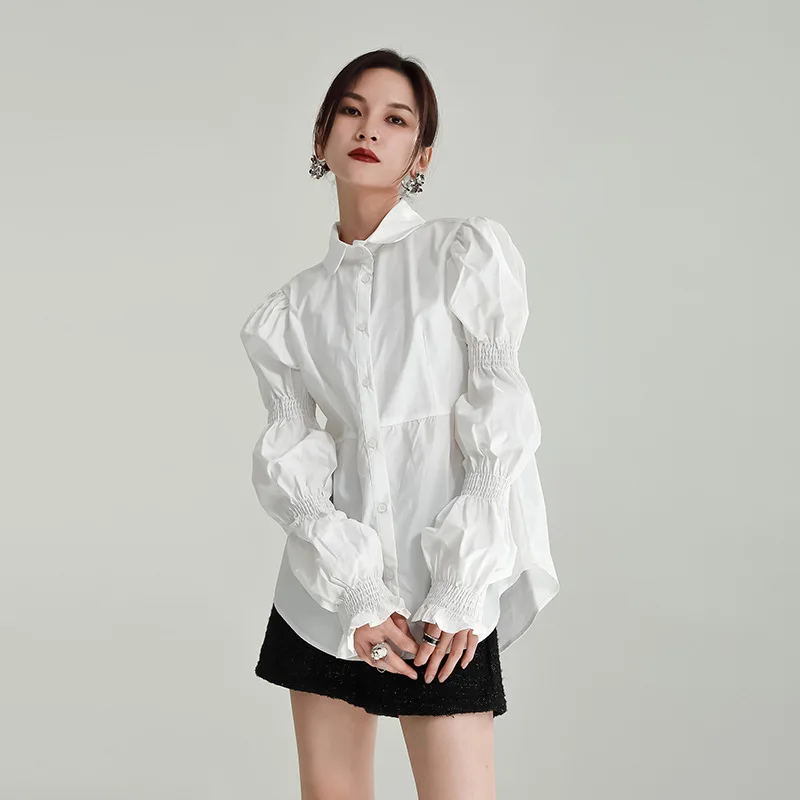 

Autumn clothes new age reduction careful machine design sense bubble sleeve petal sleeve shirt long sleeve female