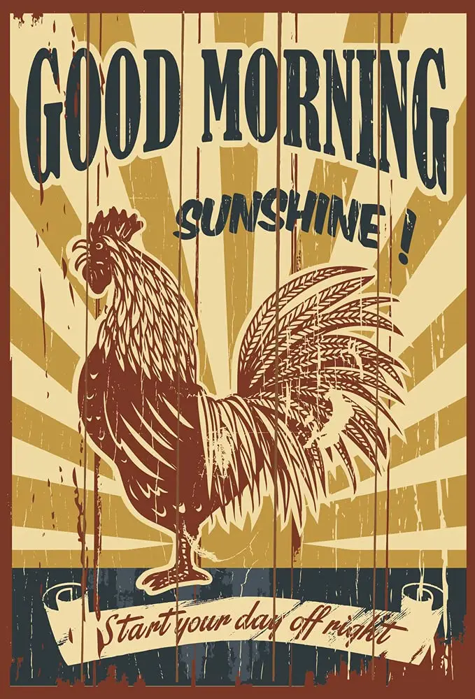 

Lesiker Vintage Style Tin Sign Good Morning Sunshine Home Wall Decoration Metal Plaques 12" X 8"in
