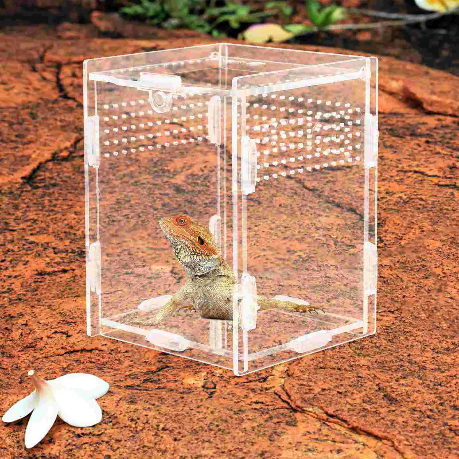 Прозрачные коробки для животных домашних пауков рак-отшельник аквариум