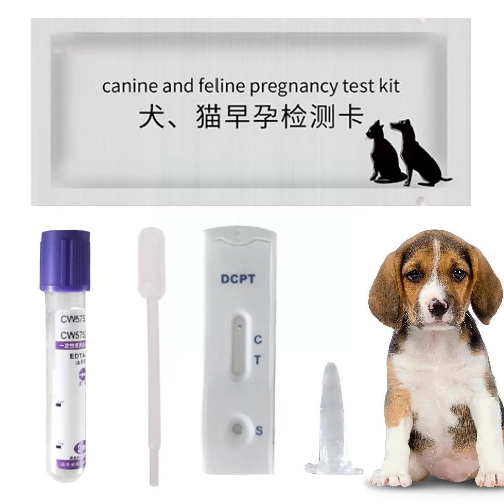 

Canine Feline Early Pregnancy Test Strips Kit Blood Serum Method For Pet Dog Cat Husky Corgi Golden Retriever Test Y3Z1
