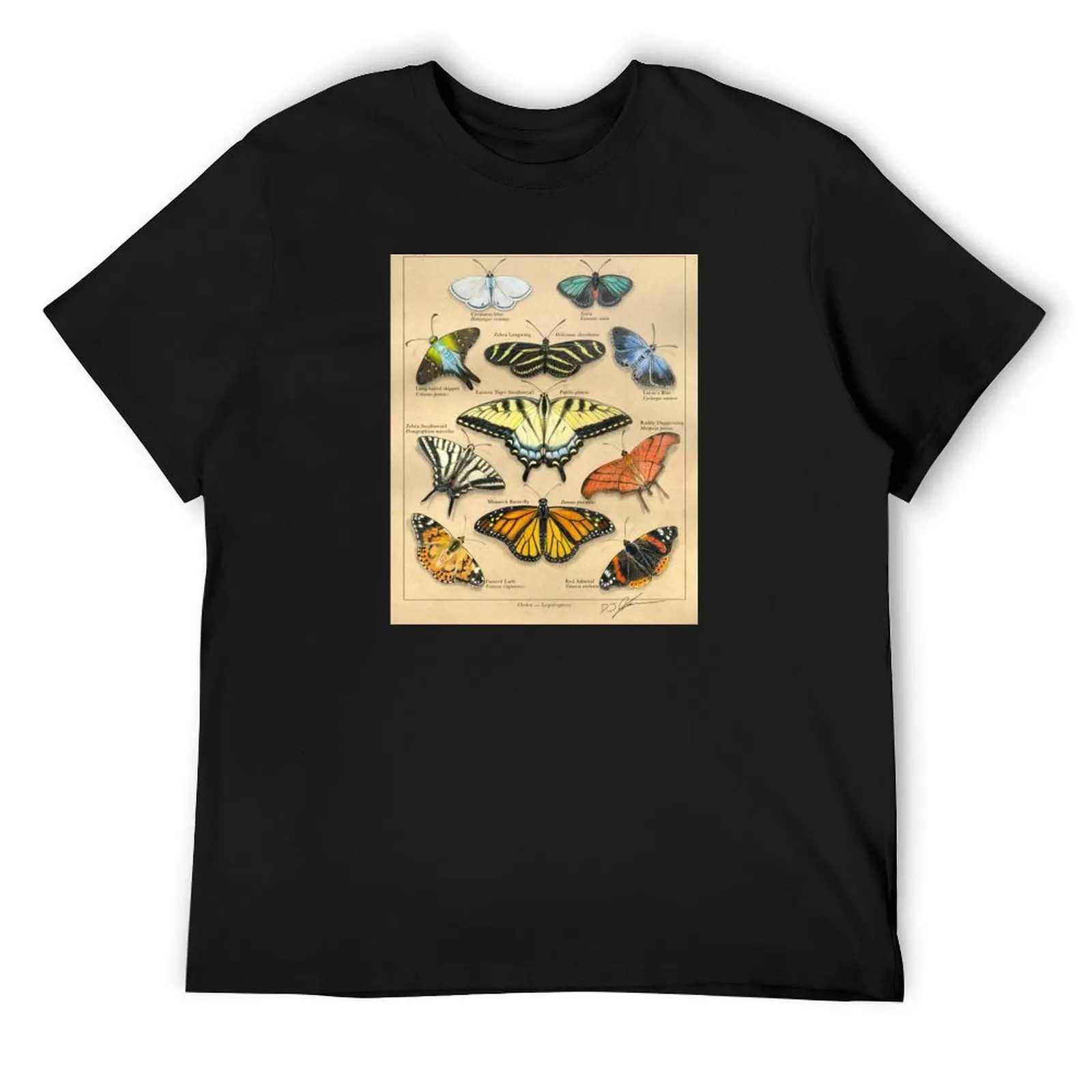 Футболка Lepidopterans Plate Illustration большие размеры аниме быстросохнущие простые белые