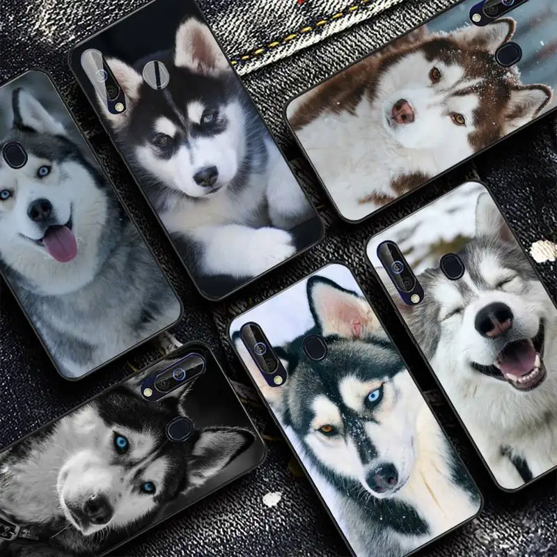 

Siberian Husky Sled Dog Phone Case for Samsung A51 01 50 71 21S 70 31 40 30 10 20 S E 11 91 A7 A8 2018