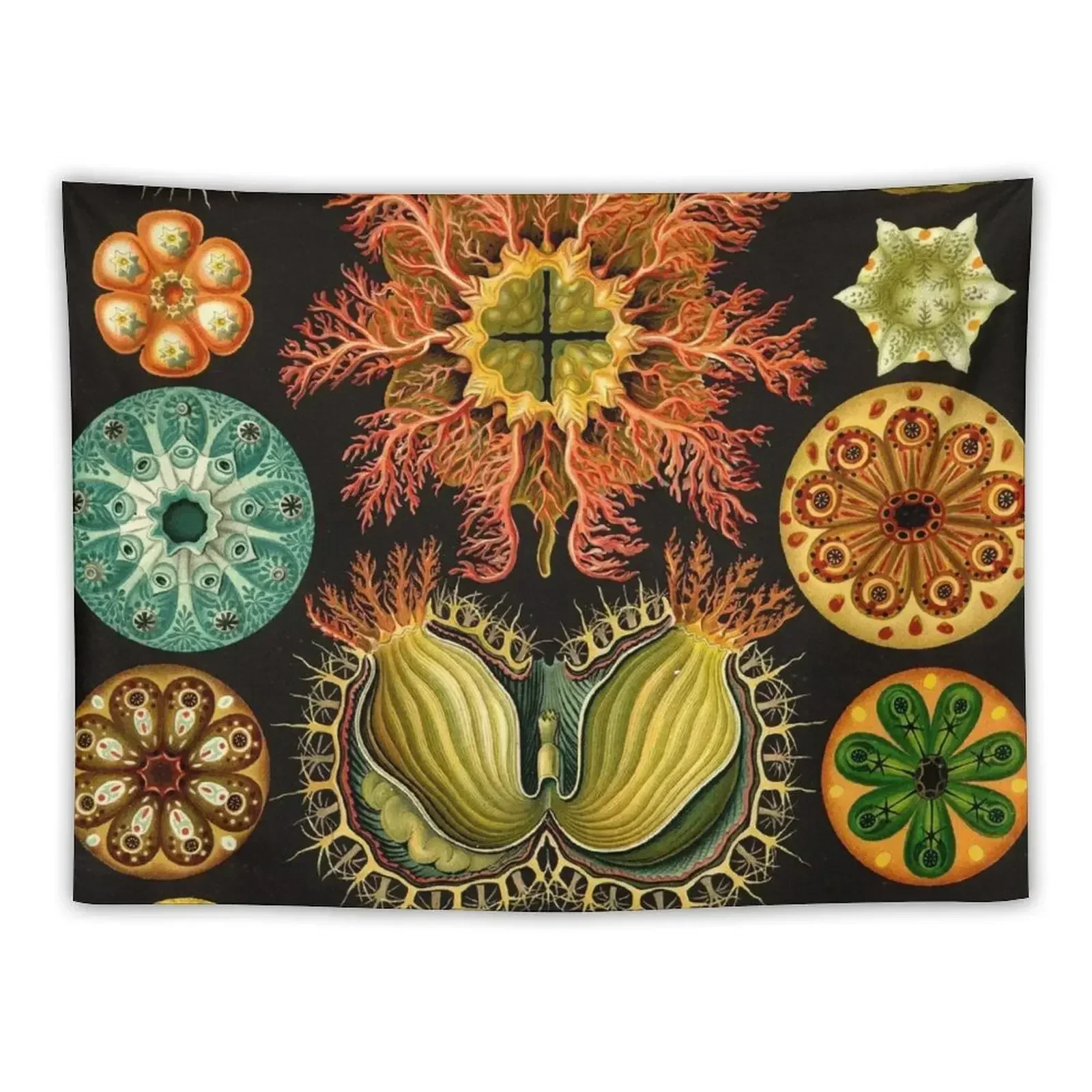 Ascidia-Ernst Haeckel гобелен для дома и комфорта корейский декор комнаты украшения вашей