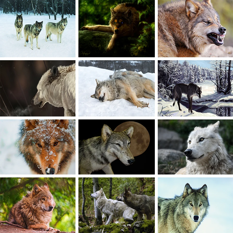 

5D DIY Diamond Painting Animal Rhinestone Pictures Full Diamond Embroidery Wolf in the Snow Mosaic Cross Stitch Kit Home Decor