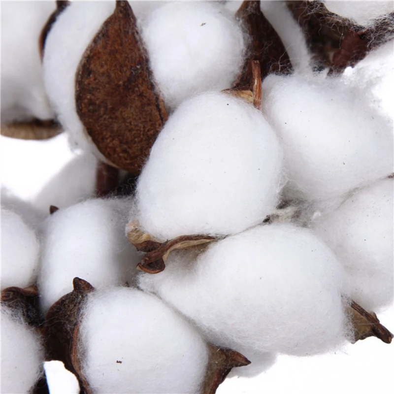 10 шт. Натуральные Сушеные хлопковые цветы искусственные букет подружки невесты