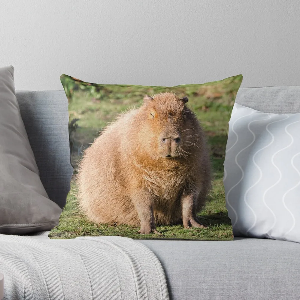 

Capybara stare Print Pillowcase Decorative Cover Bedroom Cushion Bed Soft Pillowcase