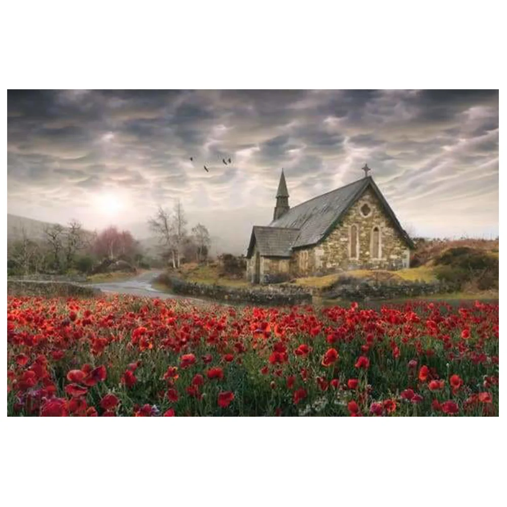 

5D Hot Sale Diamond Painting New product handwork DIY The coming storm Cross stitch Living Room and Bedroom Decorative Gift