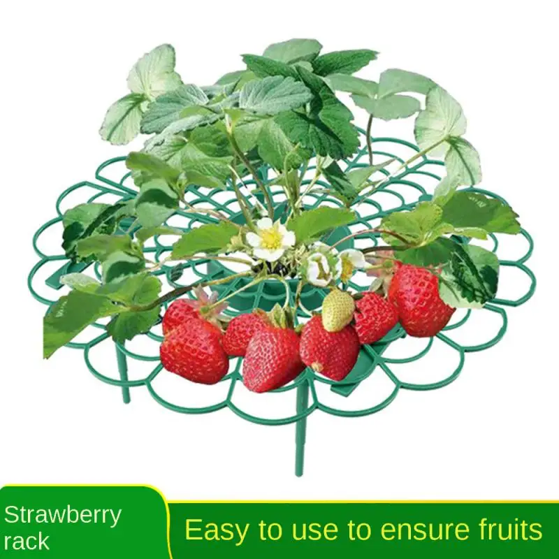 

2/4/6PCS Not Easy To Break Rectangular Horticultural Support Plants Pp Material Prevent Fruit Decay Detachable Bracket