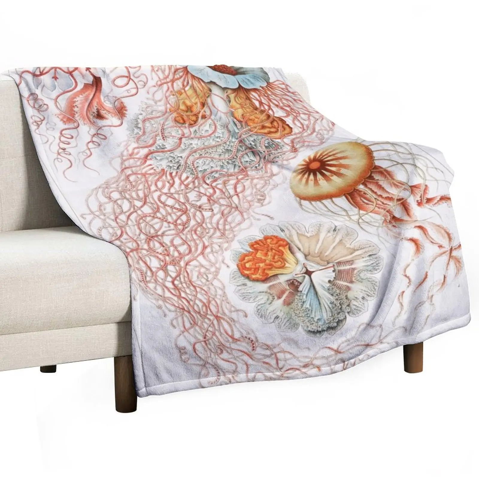 Картина Медузы Discomedusae от ученого и художника-Эрнста хаеккело. 1904 коллекция