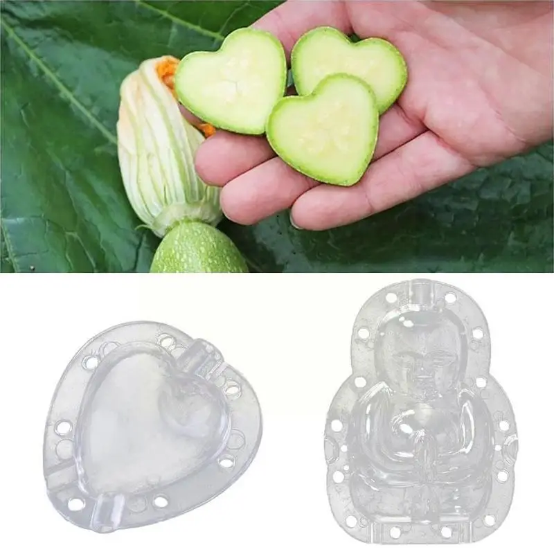 

Форма в форме тыквы, мини-форма для выращивания фруктов, арбуза, женьшеня, форма для теплицы, сада B1Y3