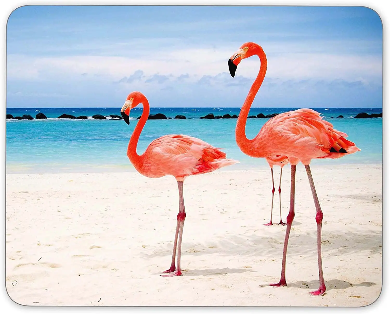 

Flamingos Walking Mouse pad Non-Slip Rubber Mousepad-Applies to Games Home School Office Mouse pad 9.5x7.9 In