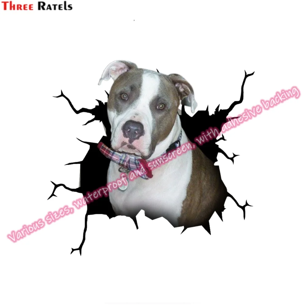 Автомобильные виниловые наклейки Three Ratels для Audi Q5 Аксессуары автомобилей Renault Megane