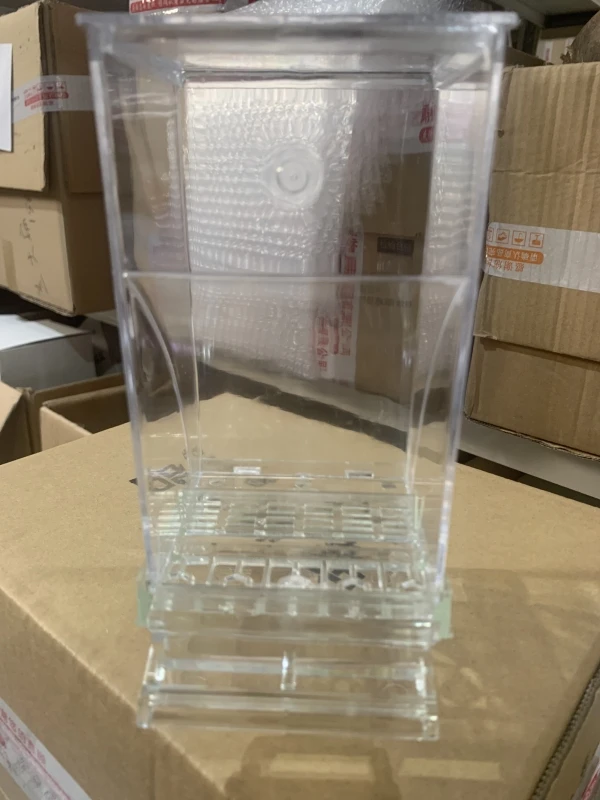 With Perch For Cage New Arrival