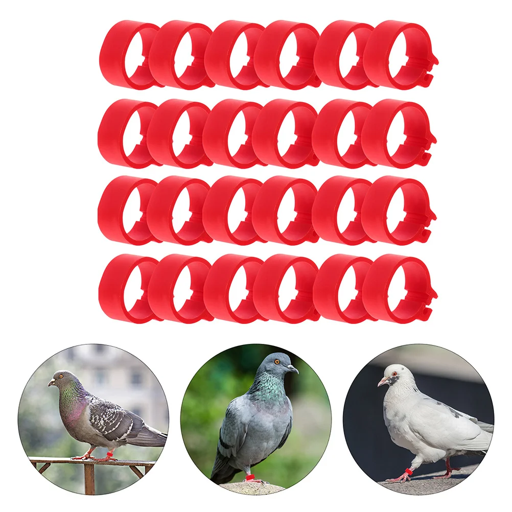 

200 Pcs Meat Pigeon Anklet Finch Leg Rings Poultry Pigeon Foot Ring Plastic Lovebird Leg Bands