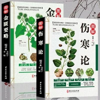 the original version of typhoid fever zhang zhongjing brief introduction of the golden chamber two tcm clinical series libros