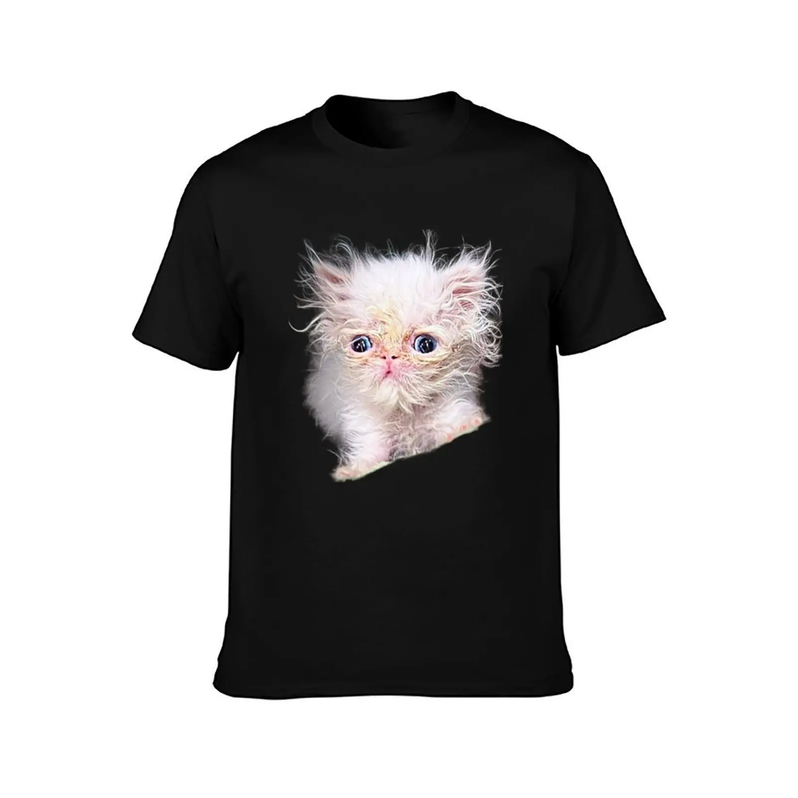 Фото Футболка Wisp Cat, повседневная, из мягкого хлопка, с коротким рукавом. №2