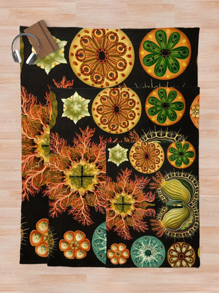 Ascidia - Ernst Haeckel Throw Blanket Роскошные одеяла для Хэллоуина