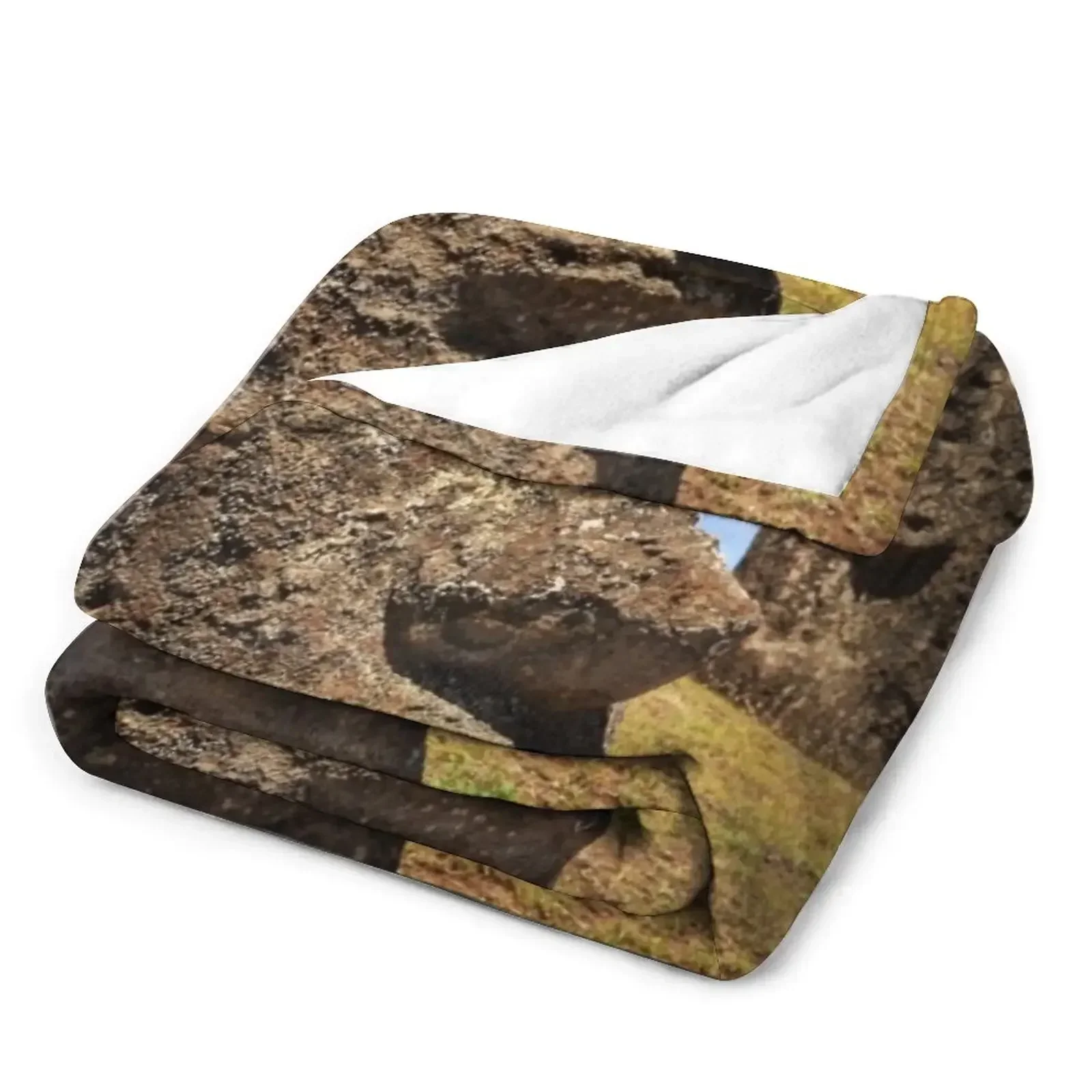 Moais at Rano Raraku - Rapa Nui Пасхальный остров Плед диван-кровать Одеяла Диваны Украшения