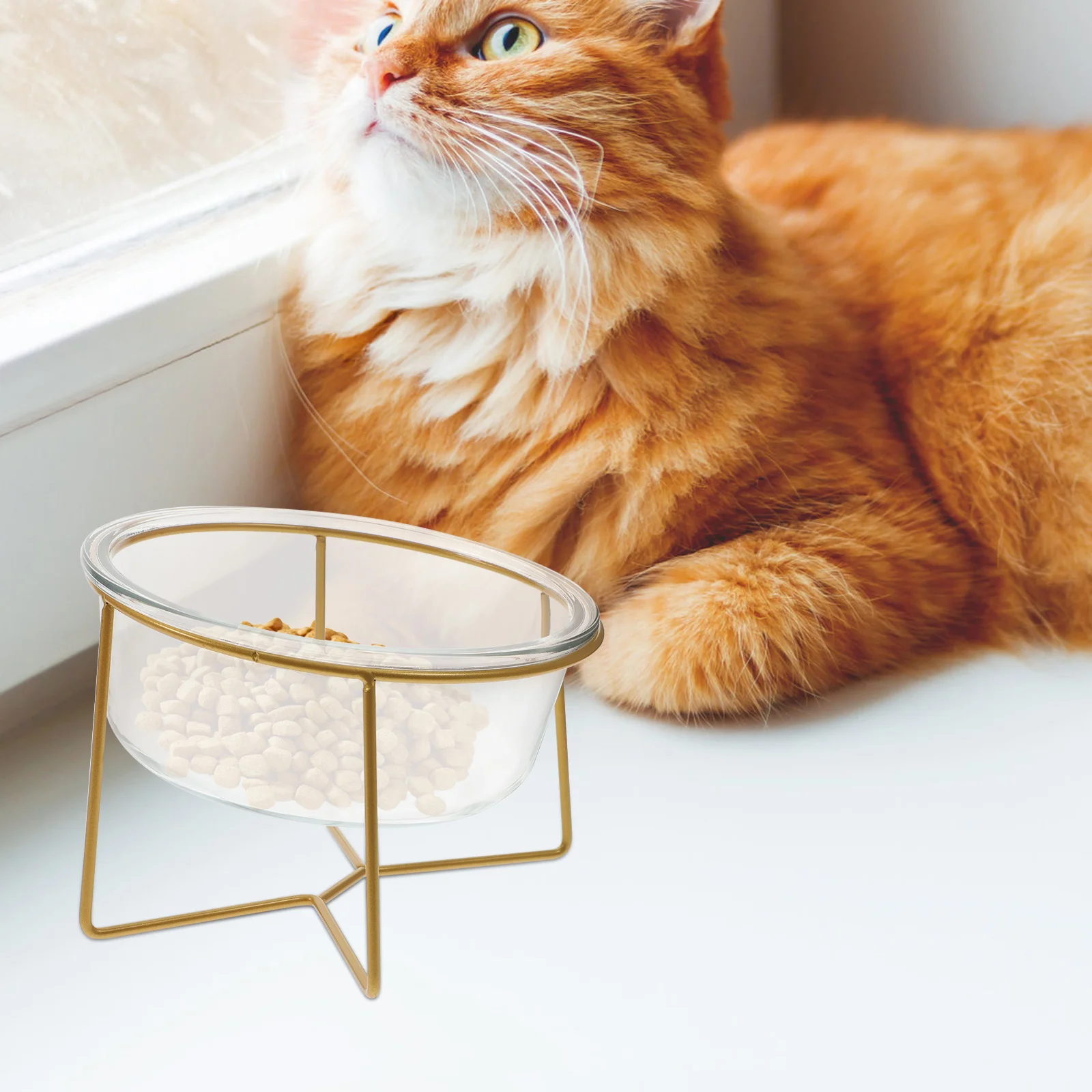 Миска для кормления домашних животных с высокой базой стеклянные миски собак еда