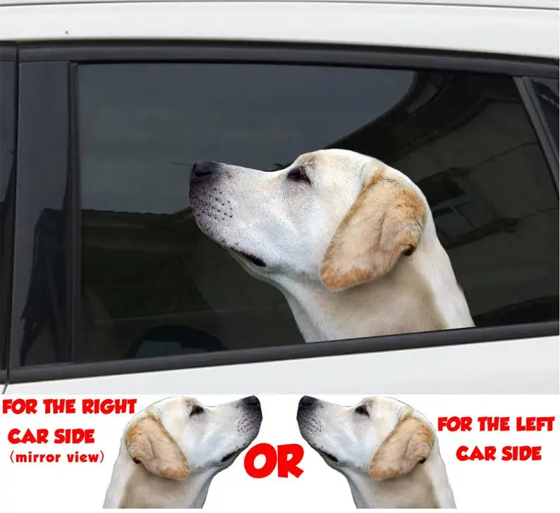 

Yellow lab car window sticker , 3D sticker, funny sticker, Yellow lab decal