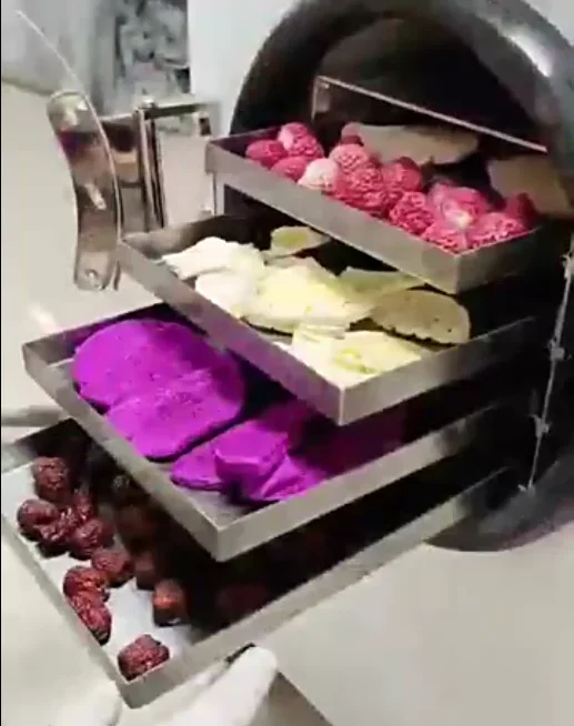 Horno разделитель для хранения пищевых продуктов с фрио леофиллизация карна питья