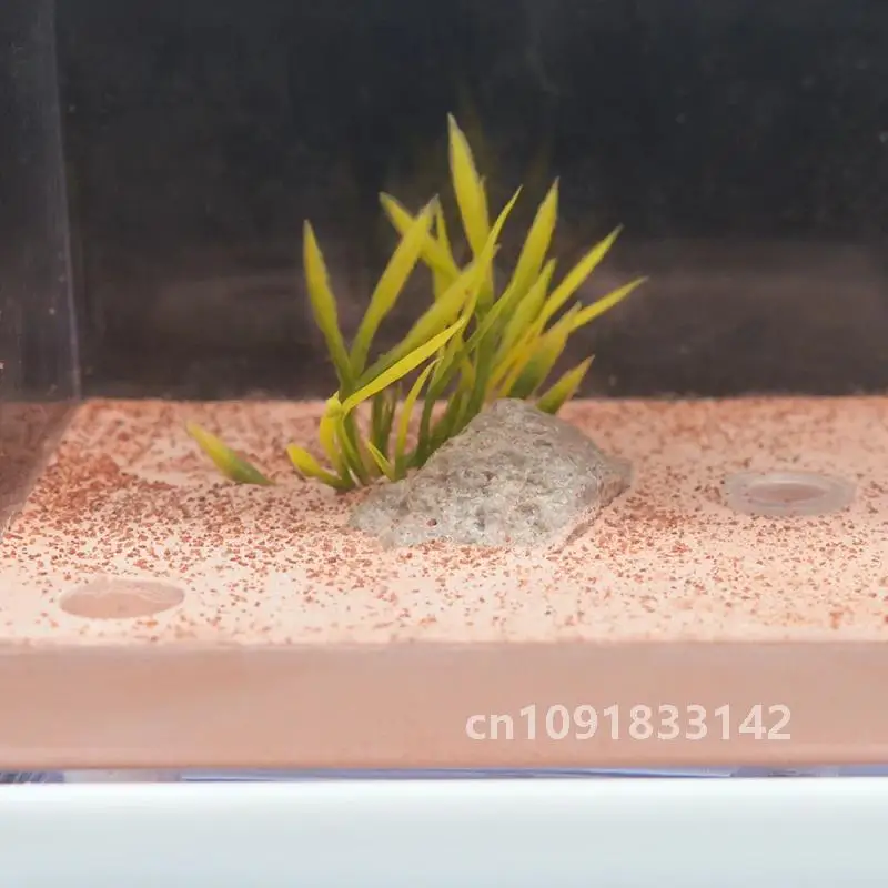 Пластиковая ферма муравьев высокая влажность насекомое замок для отеля