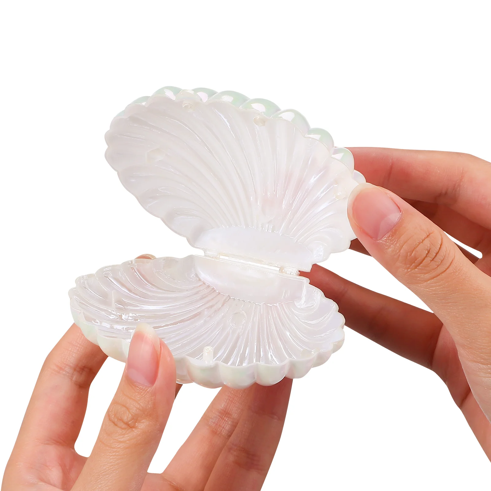 10 Pcs Pearl Candy Box Assorted Boxes Shell Jewelry Goodie Small Gift for Packing Shaped Pp Holder