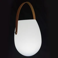 led portable lantern outdoor waterproof decorative light portable color lanyard charging camping night light