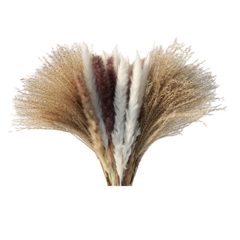 

60Pcs of Dried Reed Small Pampas Flowers Artificial Banquet Decoration Real Plants Home Decoration Wedding Decoration