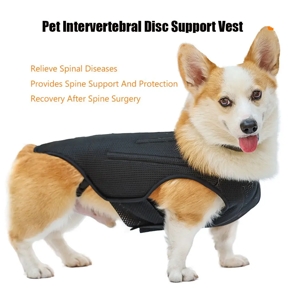 

Защитный жилет для восстановления позвоночника, Одежда для животных, облегчение боли в позвоночнике