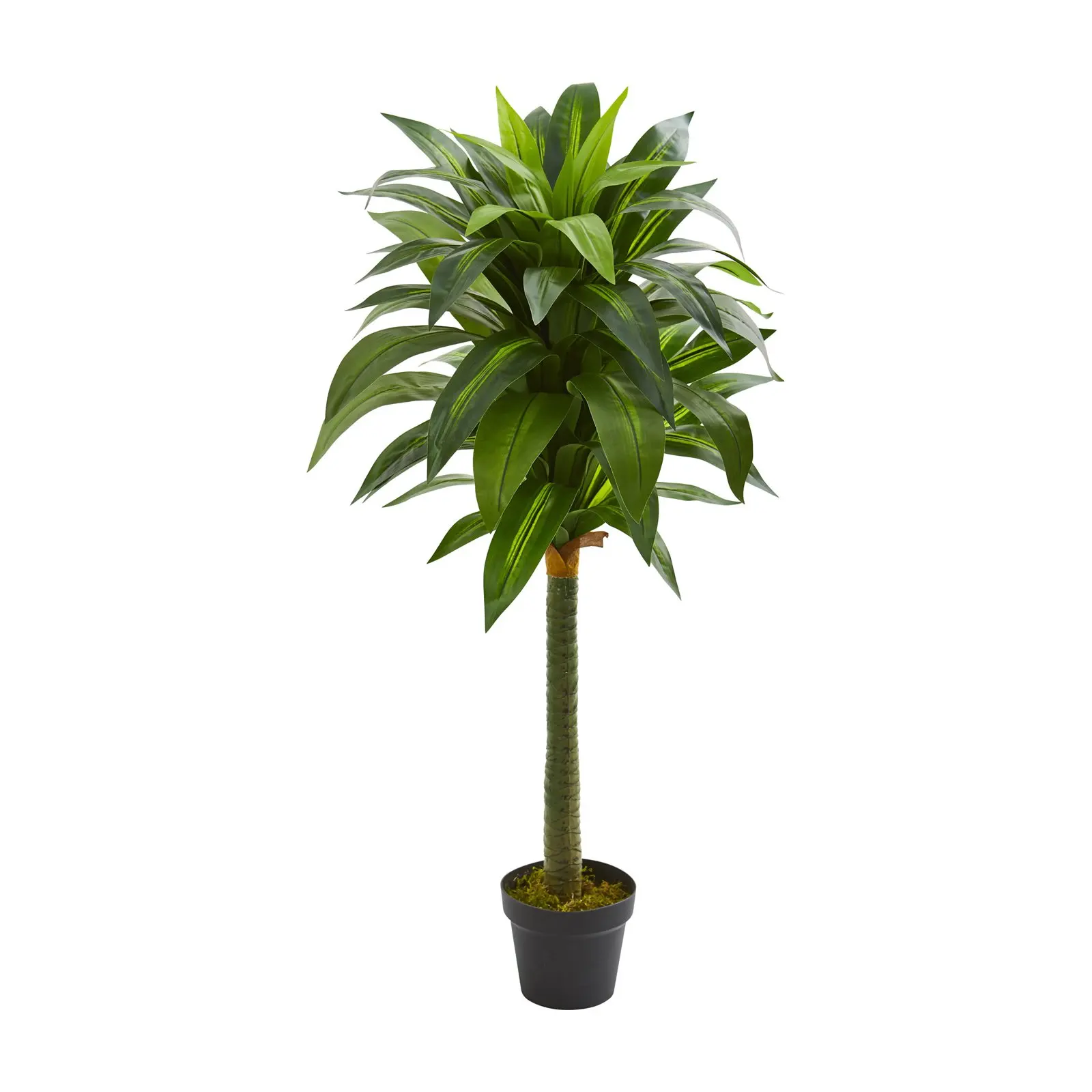 

Plastic 45" Dracaena Artificial Plant, Green