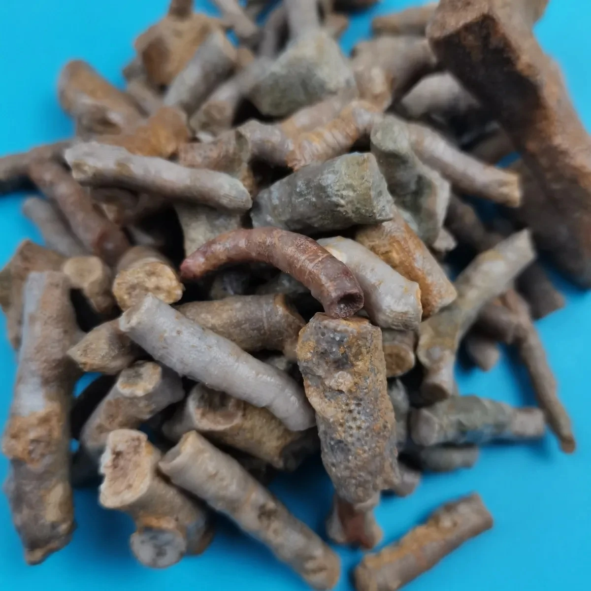 5Pcs Natural Crystal Original Stone Mine Cordyceps Stone Antique Collection Ornamental Stone Ornaments