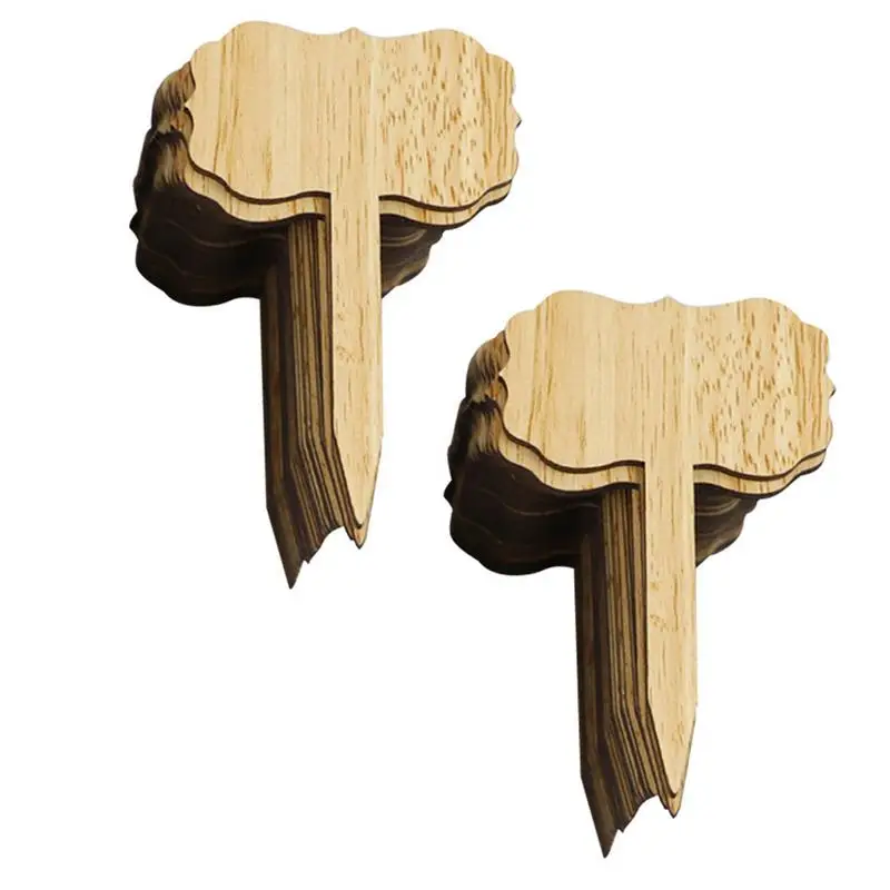 

60pcs Plant Labels Vegetable Garden Markers Garden Nursery Labels Wooden Plant Stakes Labels Gift Wooden Garden Stakes Succulent