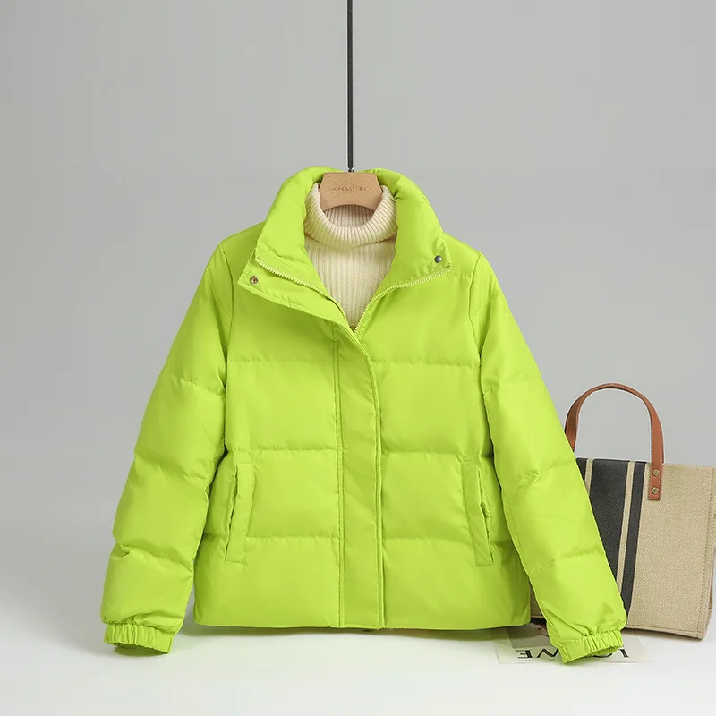 Standing Collar Short Jacket Woman Winter 2023 Oversize Thin Down Demi-season Parka New In Outerwear Spring Padded