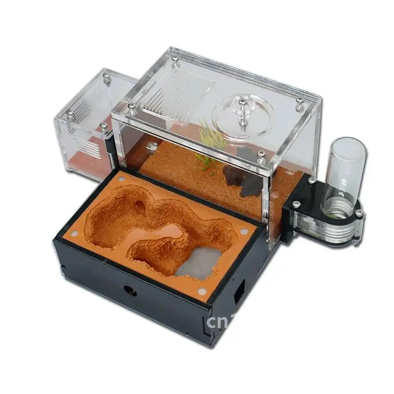 Ферма муравьев с внешней водяной башней и мусорной зоной Желтый почвенный дом из