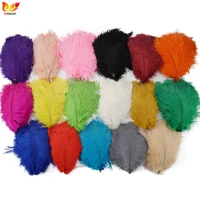 6 8 inch 15 20 cm standard ostrich feathers for fashion show