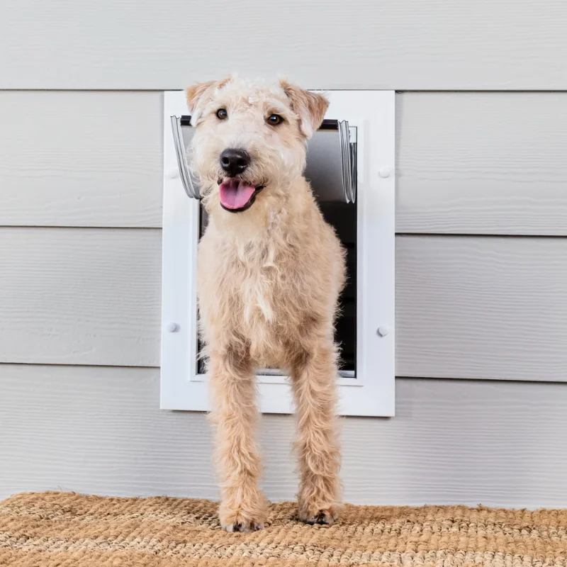 

PetSafe Wall Entry Dog and Cat Door Telescoping Tunnel - Medium