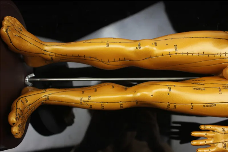 Медицинская HD Прозрачная Мужская Гальваническая статуя из чистой меди |