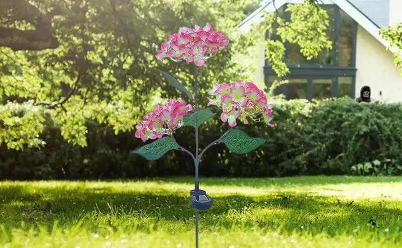 Рисунок 4 - Цветы, яркие декоративные солнечные цветы