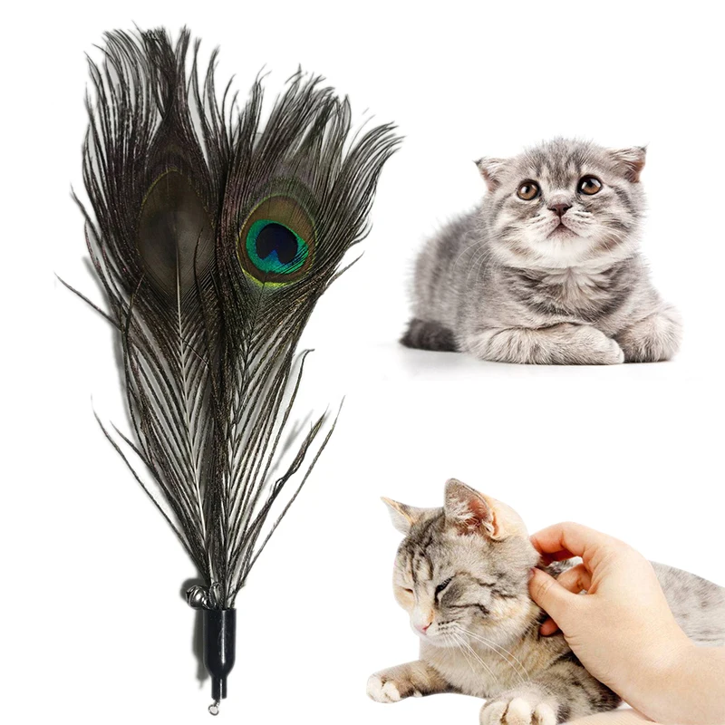 

Pet Supplies Cat Toy Three-section Telescopic Funny Cat Stick Dark Feather Replacement Head Cat Interactive Toy Feather Toy