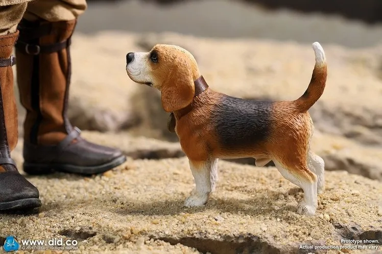 

1/6 DID D80154 серия Второй мировой войны Звезда африканского пилота герой Ханс джоахим Марсель E60060 Смола реалистичный Dos для кукольной сцены ком...