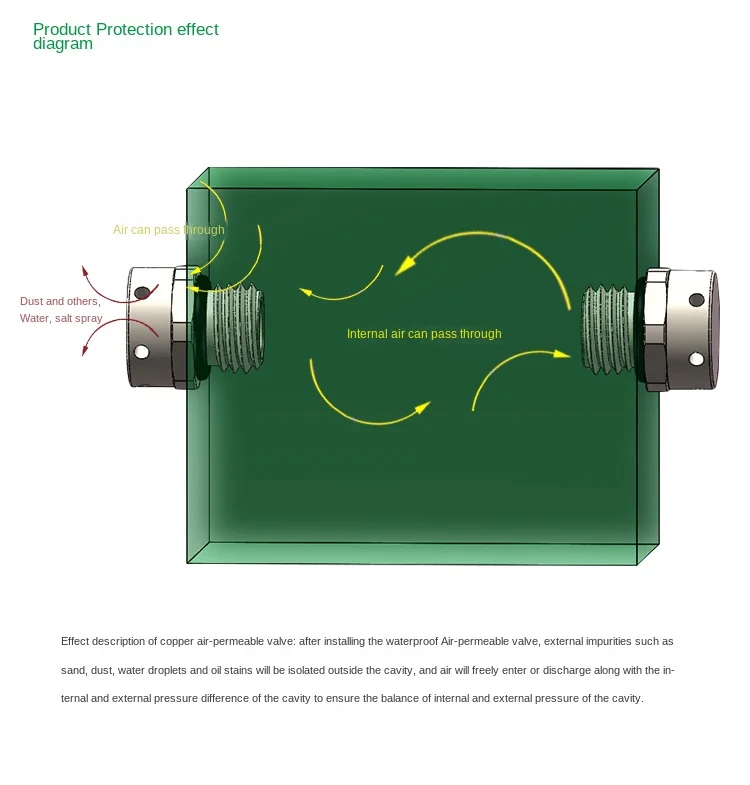 Ферментный выпускной клапан M12 из нержавеющей стали с латунно-никелированными