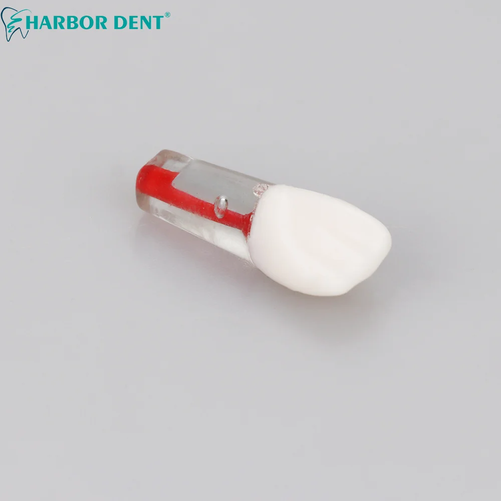 5 шт. стоматологический Эндодонтический корневой канал модель для обучения